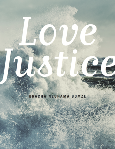 Love Justice will be available for purchase in late February 2015.